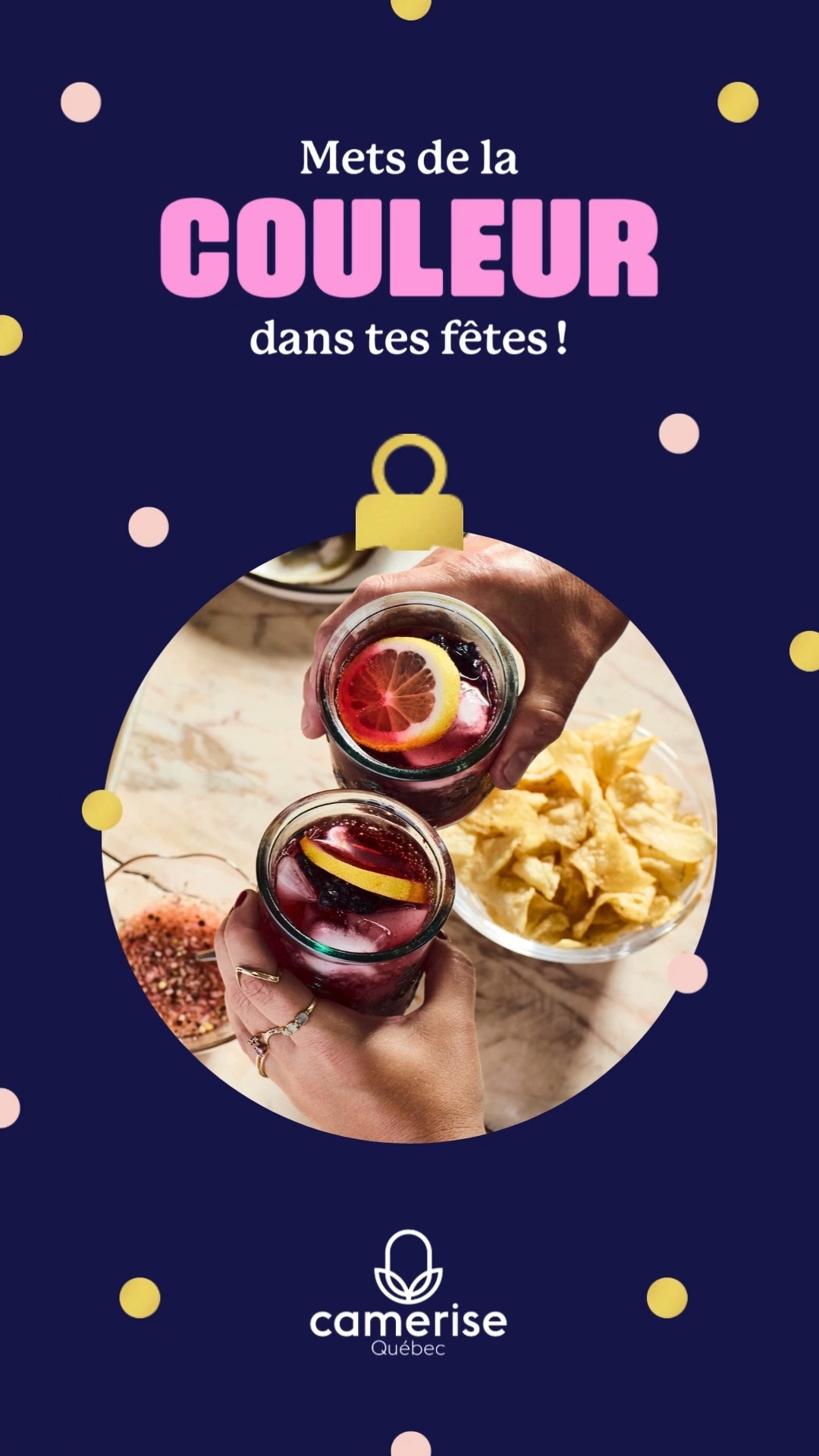 Aperçu — Sirop de camerises